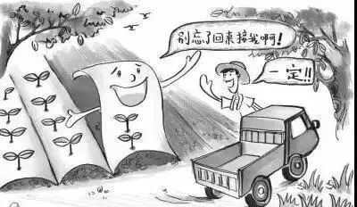 農膜回收正當時 抓住補貼窗口，變身綠色鄉村獲利者