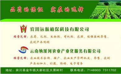 清明護航與大地春耕 賓川移動免費送的15G流量，和你想不到的一層關聯