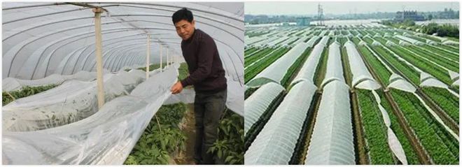 農(nóng)膜再生成本高，國家為你支支招